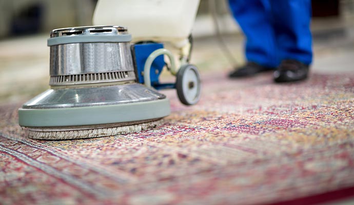 Professional rug cleaning service